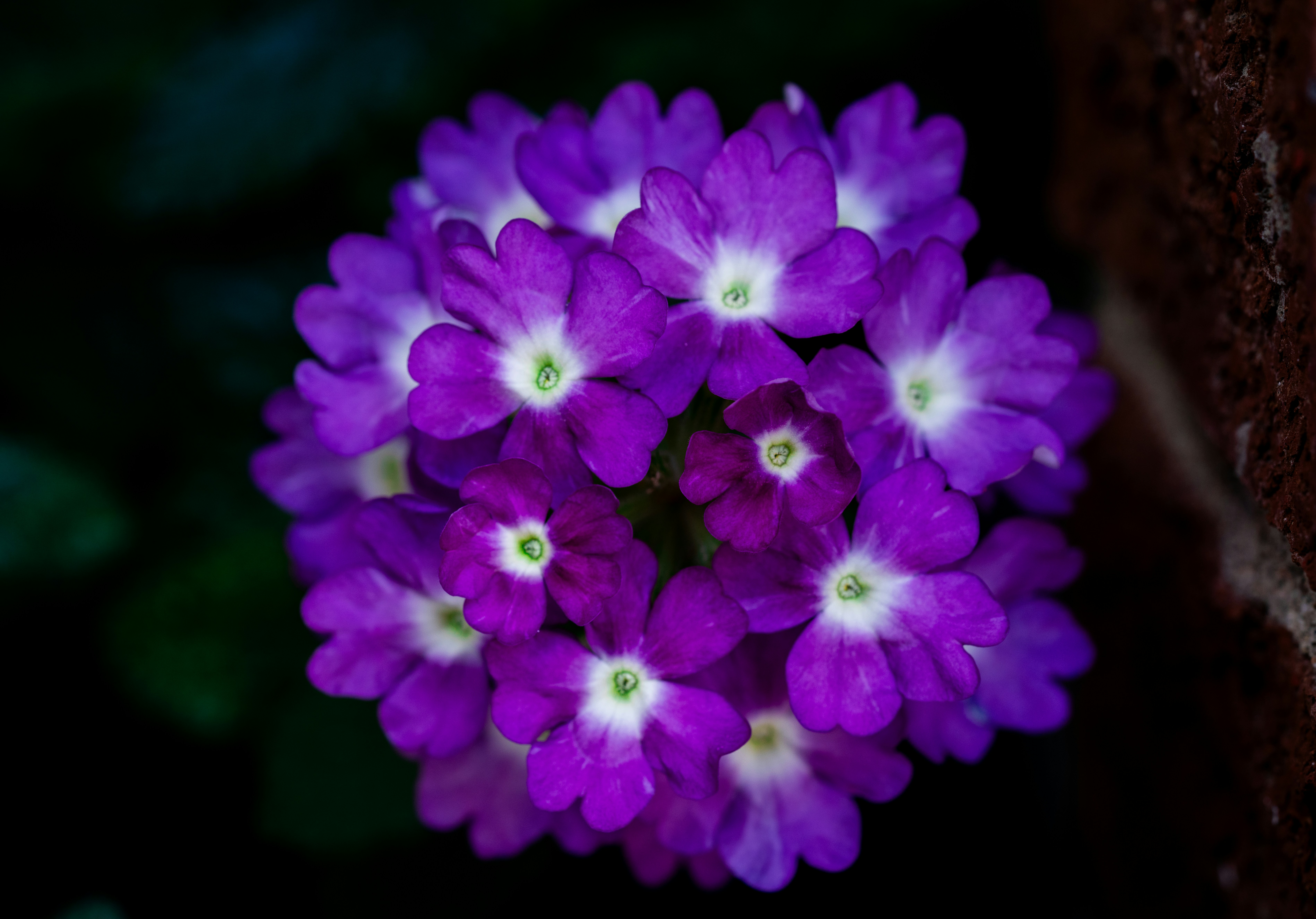 Photo by sreyaskv