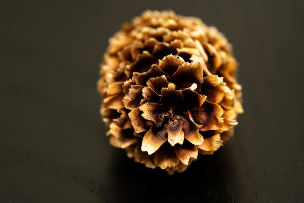 a close up of a pine cone on a table
