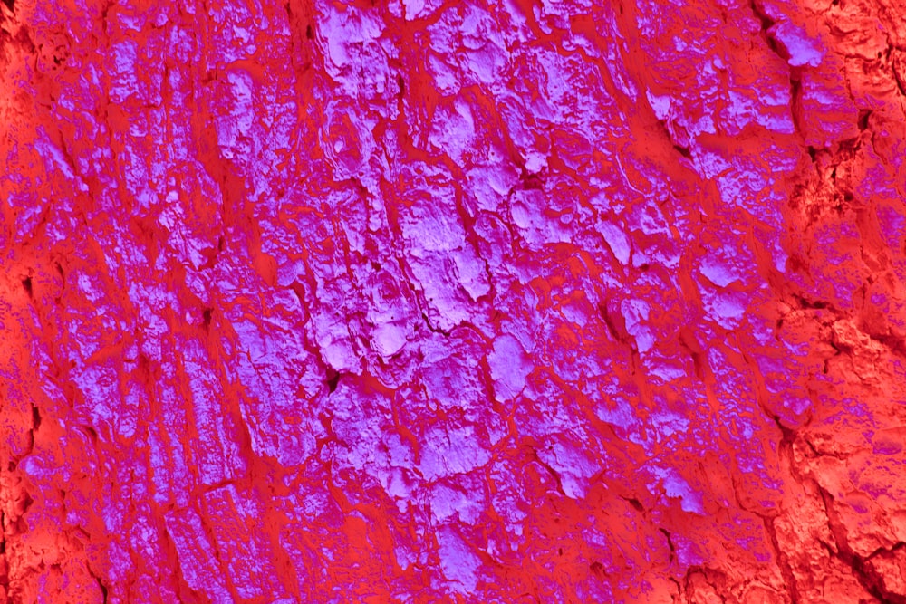 a close up of a red and purple wall