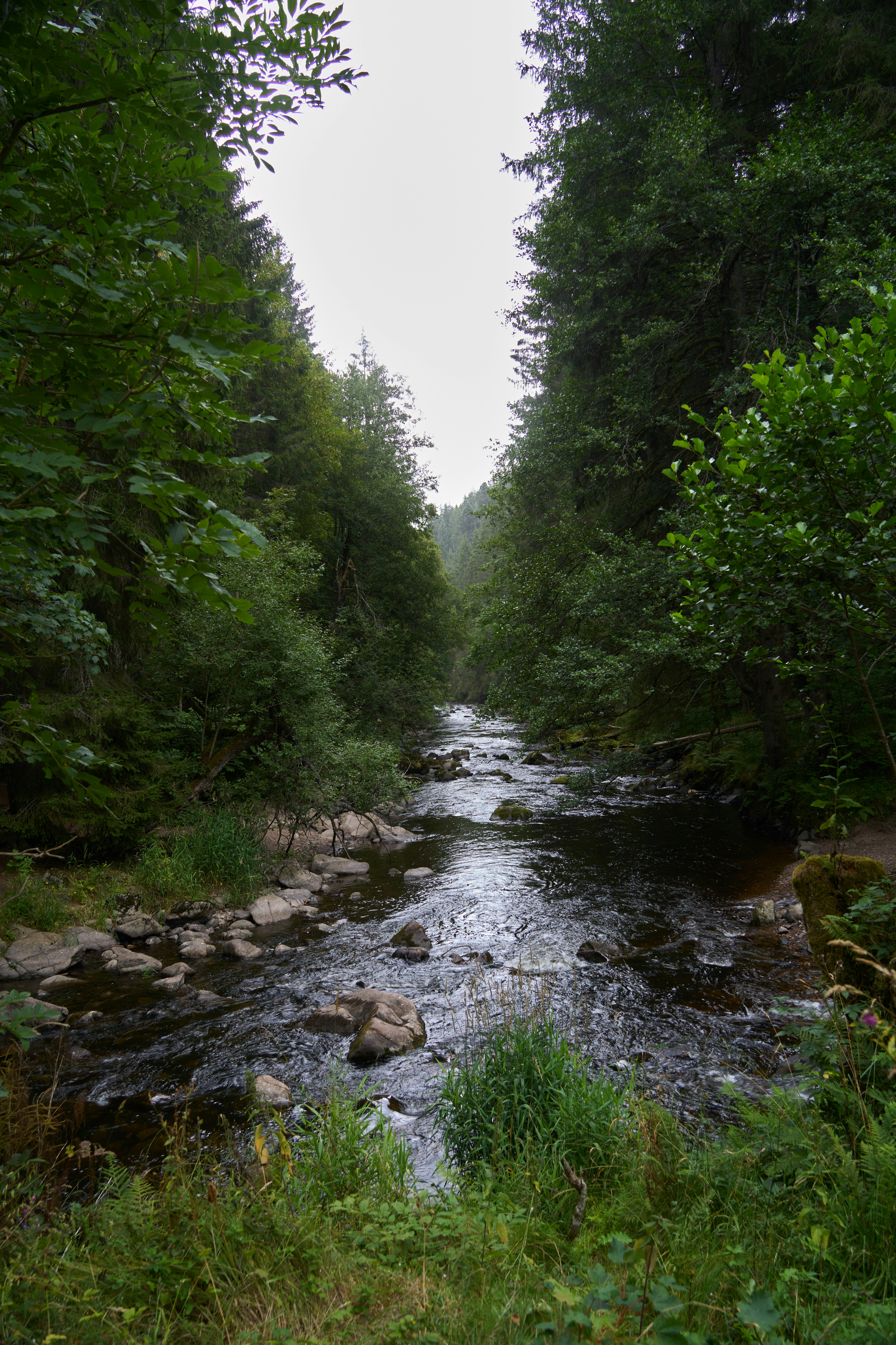 Photo by wolfgang_hasselmann