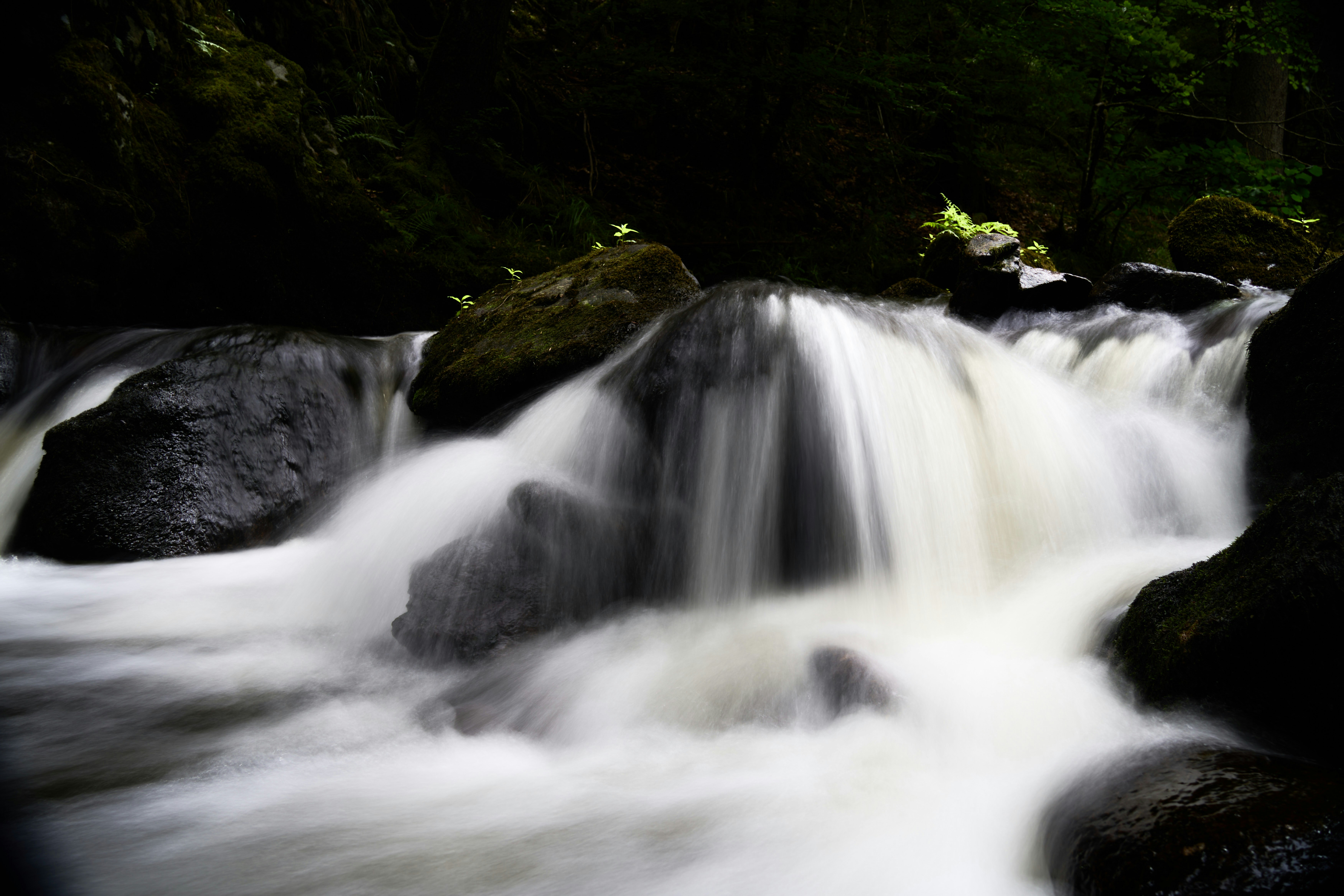 Photo by wolfgang_hasselmann