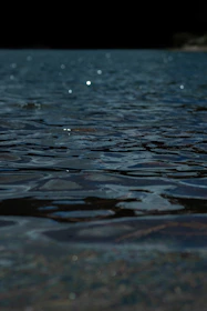 Close-up of a delicate ripple spreading across a calm water surface.