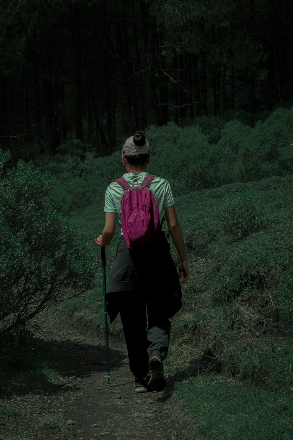 a man with a backpack and walking stick on a trail