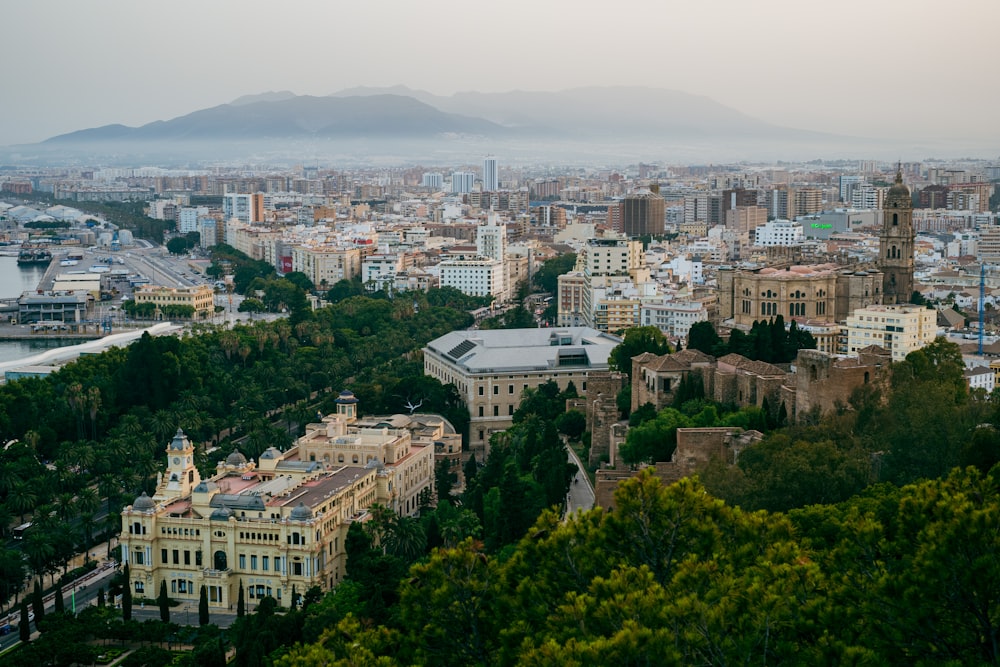 a view of a city with mountains in the background