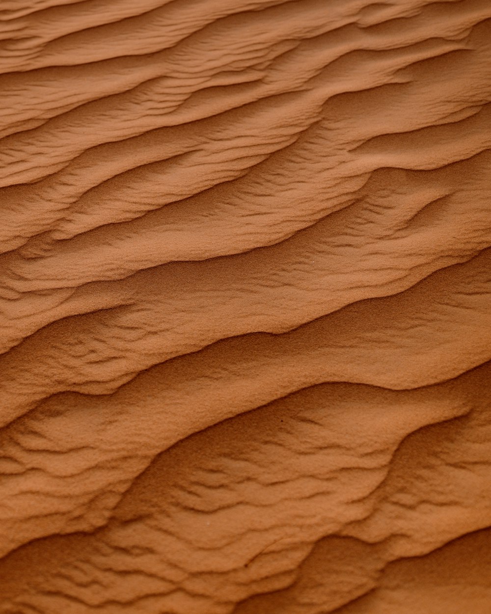 a close up of a sand dune in the desert