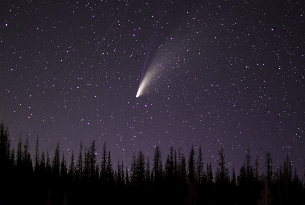 a comet is seen in the night sky over a forest