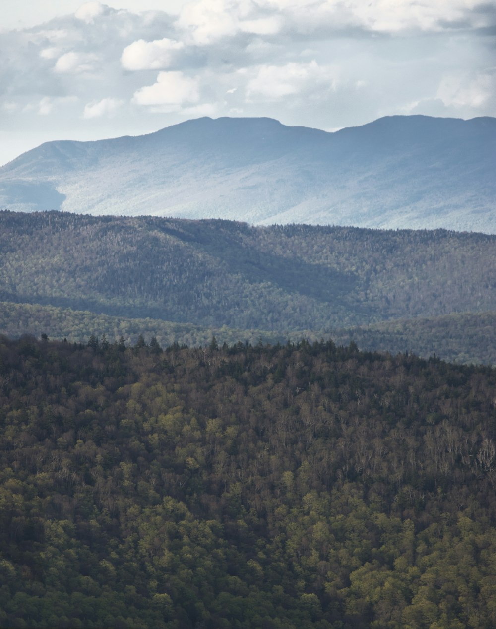 a view of a mountain range with trees in the foreground