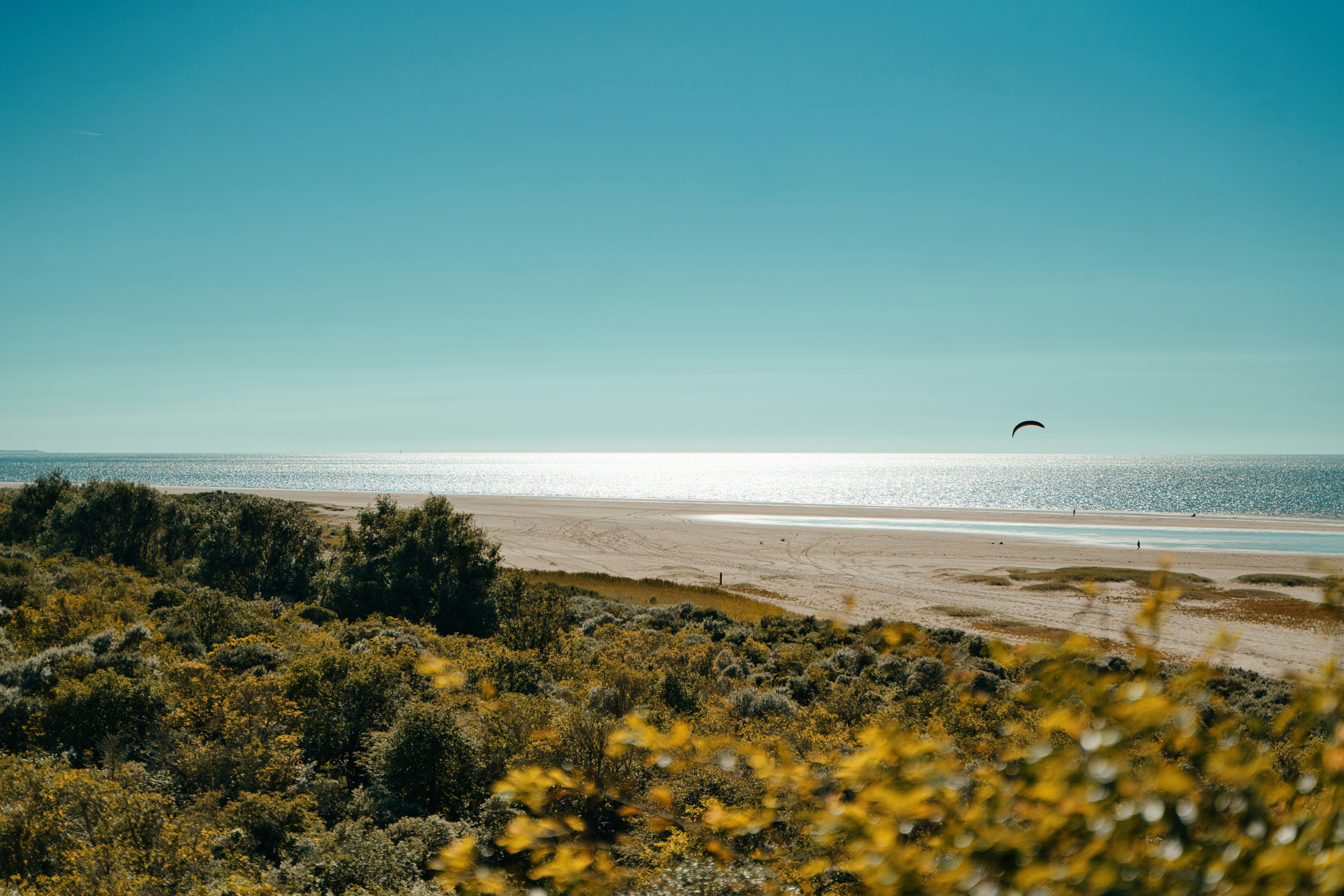 a bird flying over a sandy beach next to the ocean