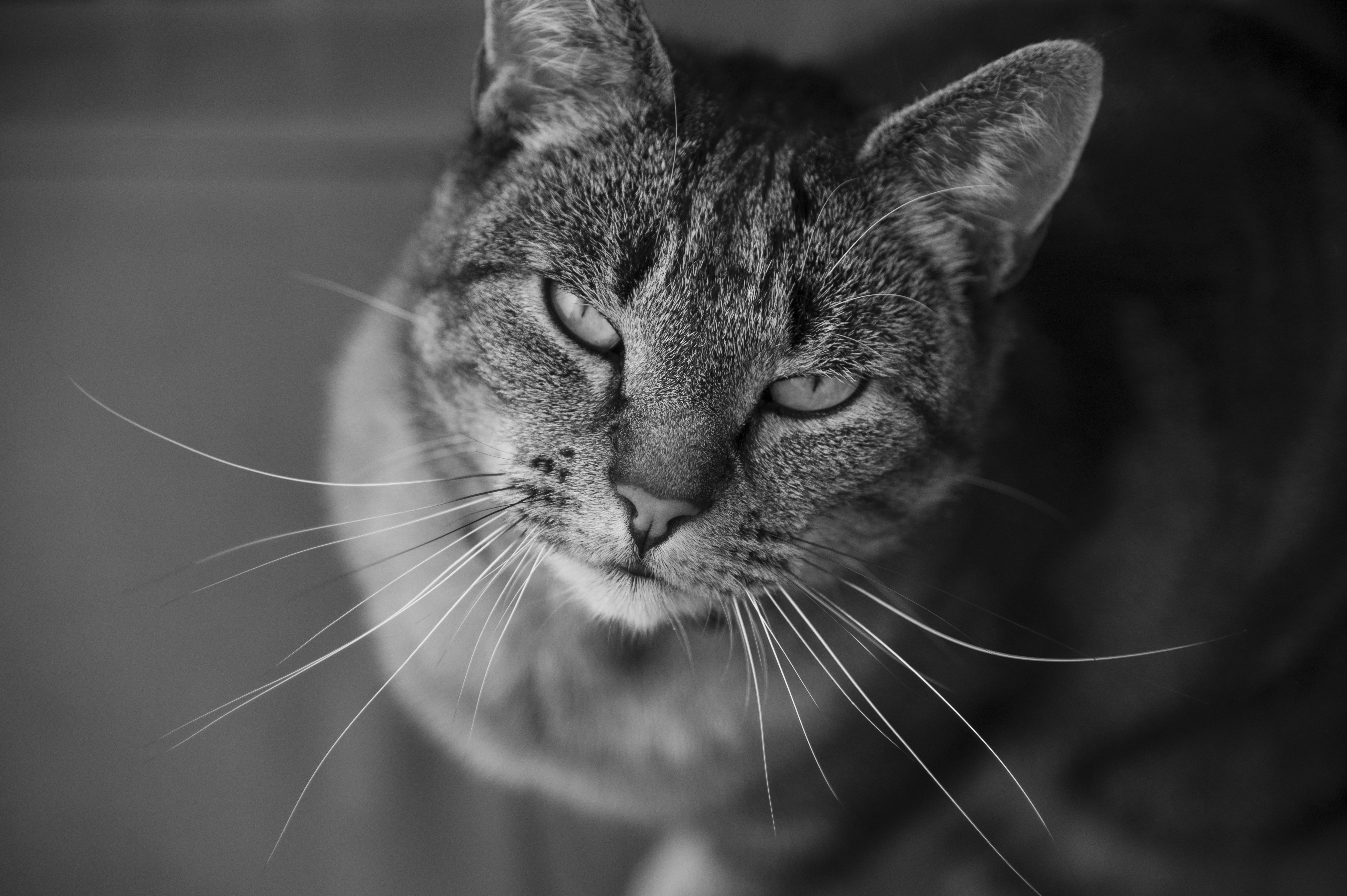 Photo by siebe_vanderhaeghen