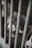 Several puppies are seen behind metal bars, appearing to be in a kennel or cage. The puppies have a mix of white and gray fur, with a particular focus on a puppy with blue eyes looking pensively out through the bars.