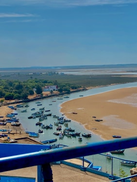 A serene view of the Ebro Delta with boats docked near sandy beaches and lush wetlands.