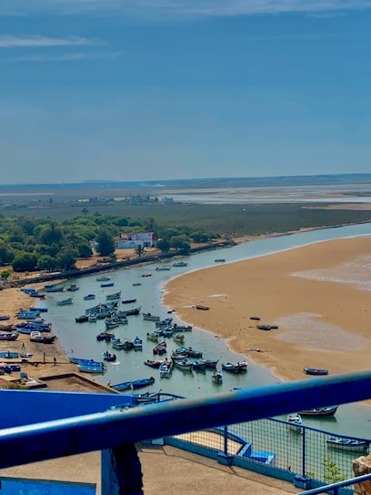 A serene view of the Ebro Delta with boats docked near sandy beaches and lush wetlands.