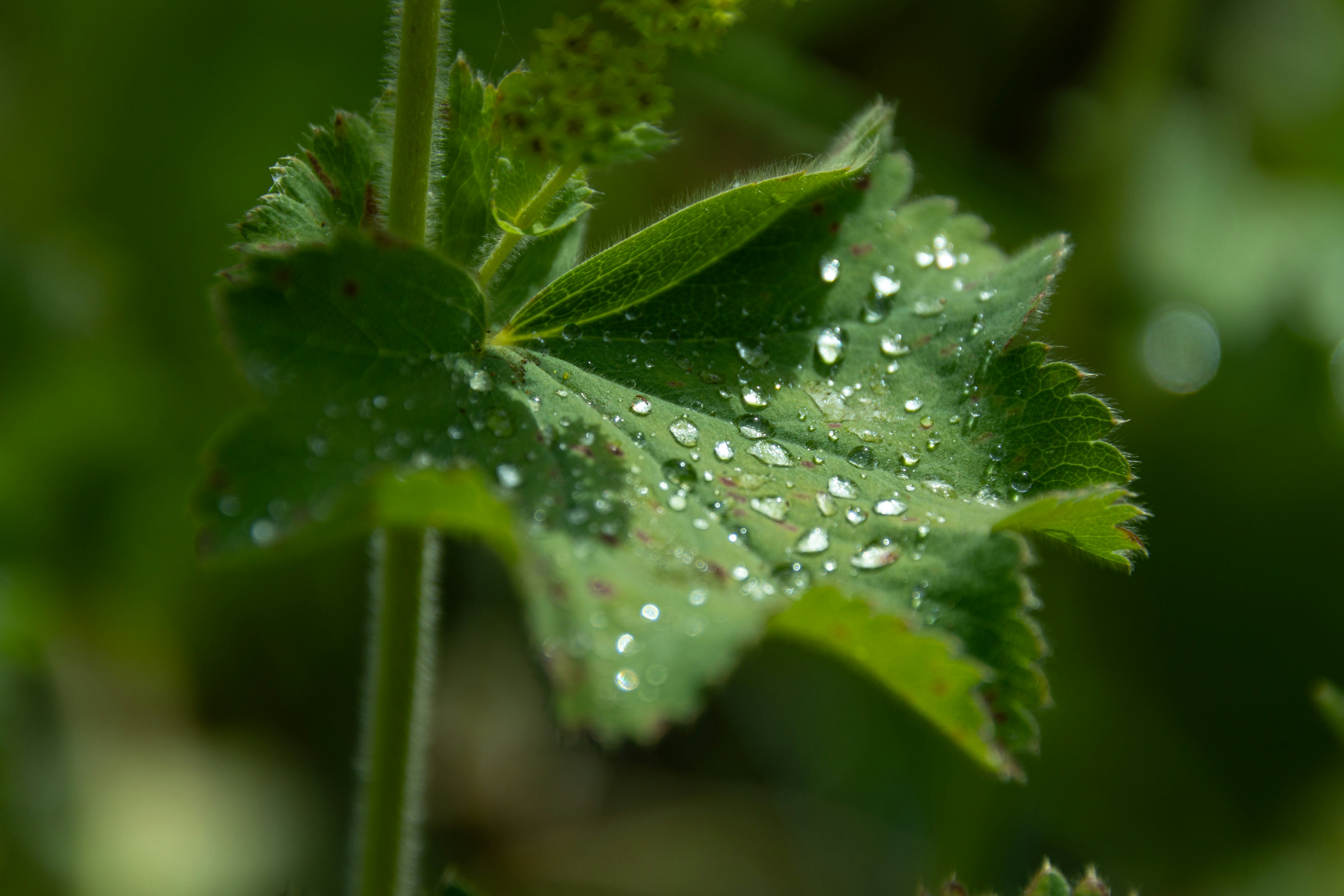 Photo by frozencloud