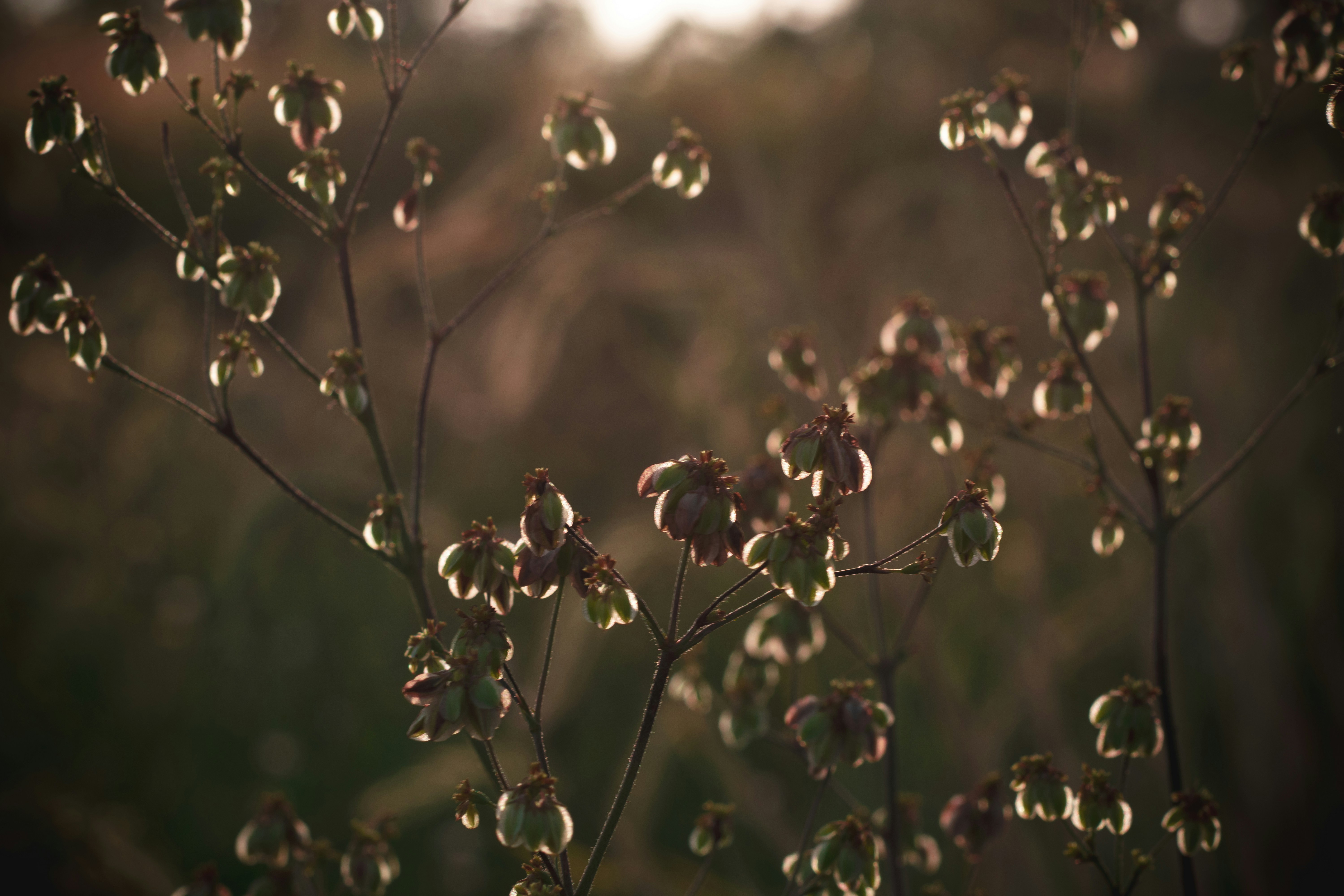 Photo by tayannphoto