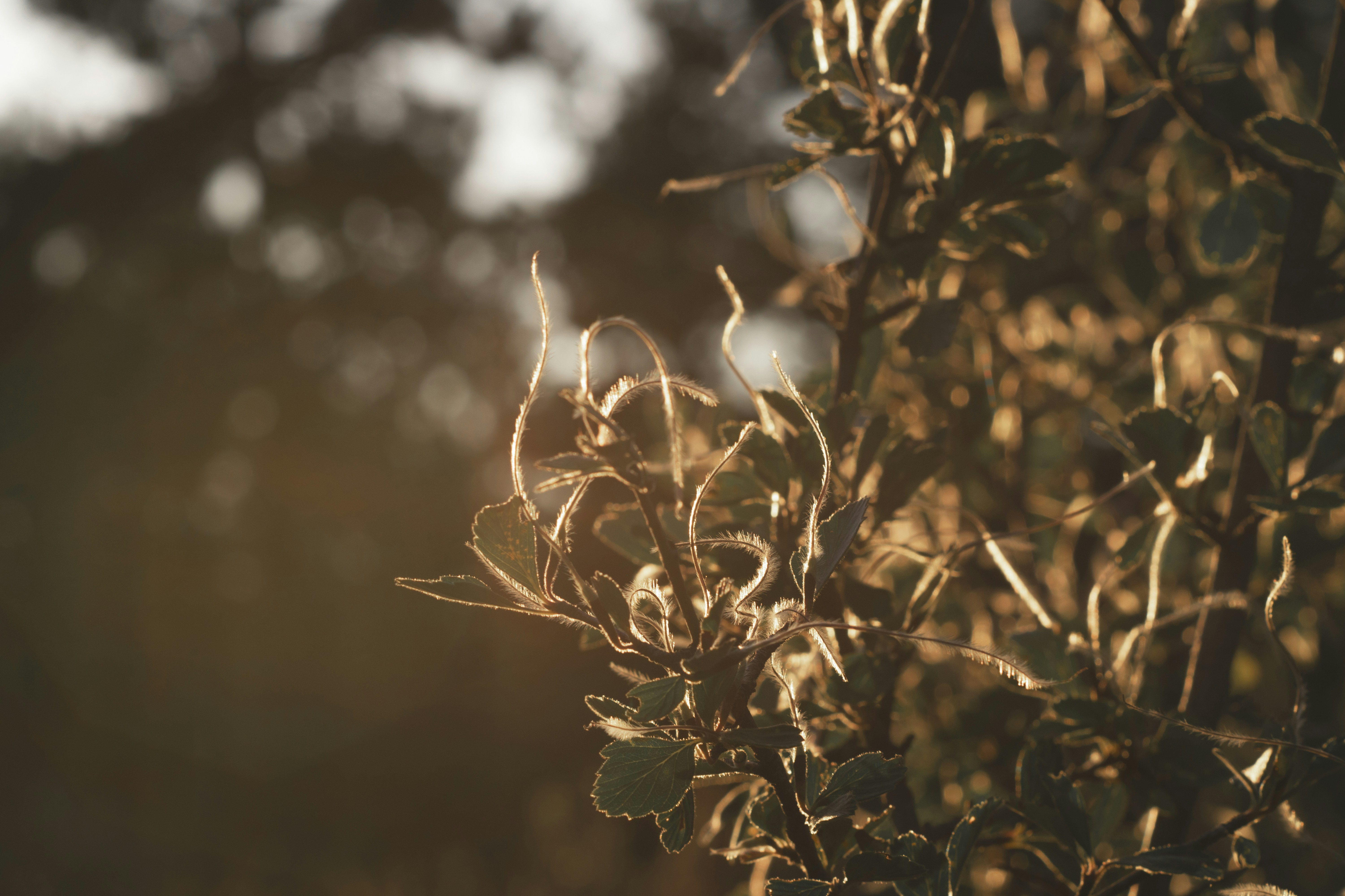 Photo by tayannphoto