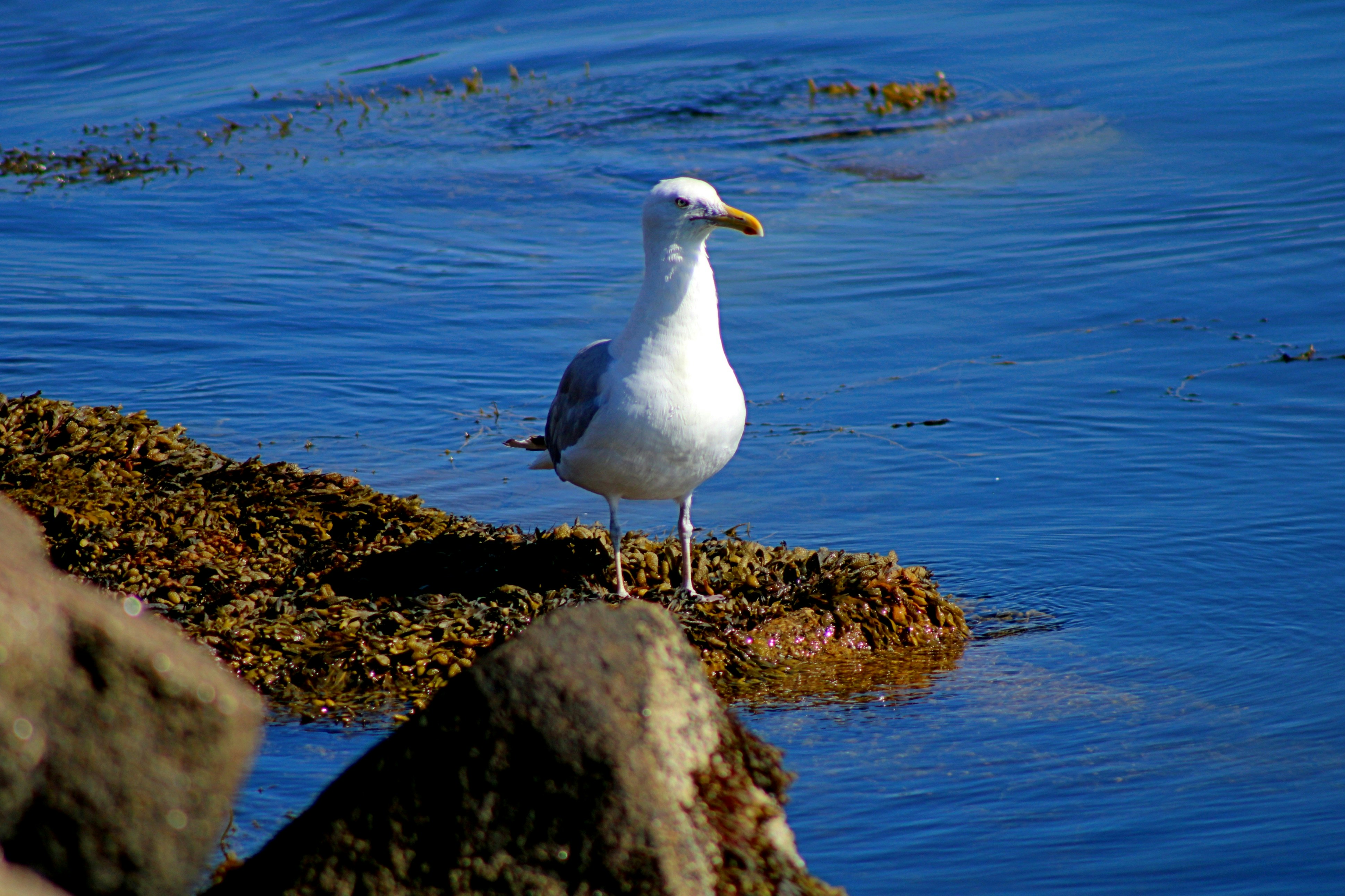 Photo by charles_ray