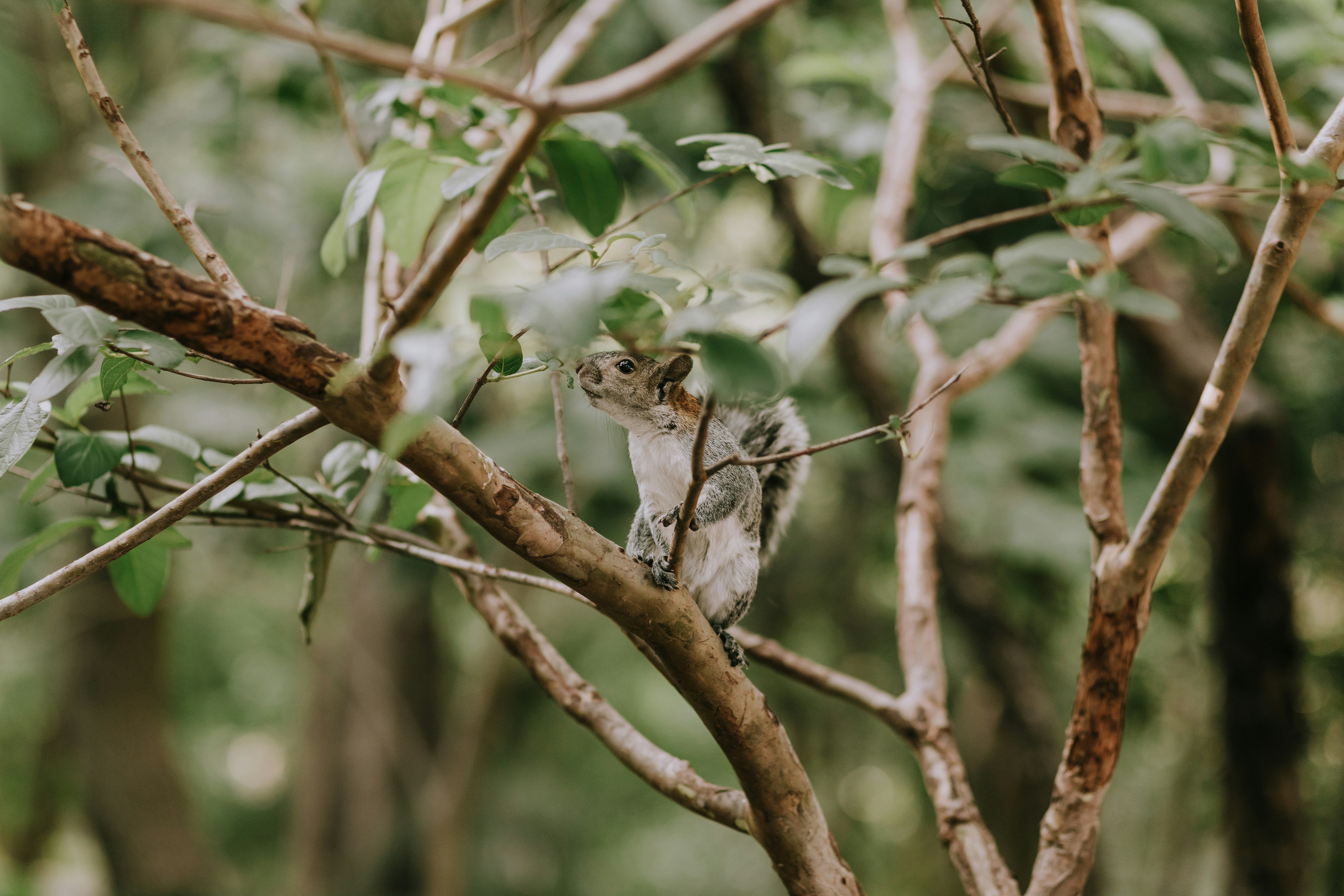 Photo by miguelheezg