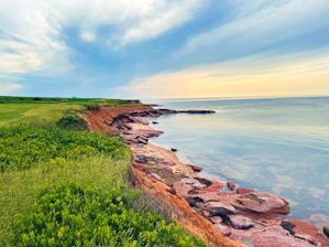 a grassy field next to a body of water