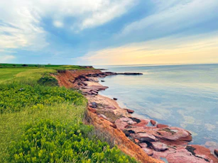 a grassy field next to a body of water