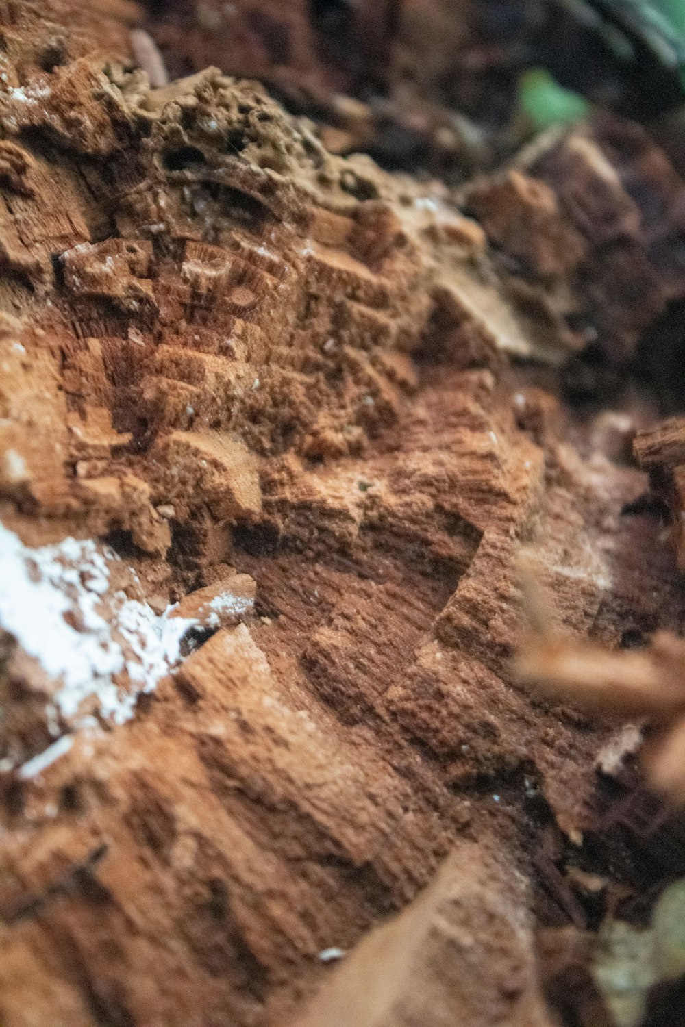 a close up of a dirt and grass surface