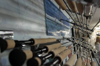 Close-up of fishing rods and reels neatly arranged on display at Pioneer Tackle Mauritius.