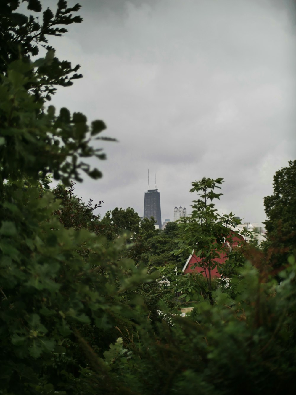 a view of a tall building through the trees