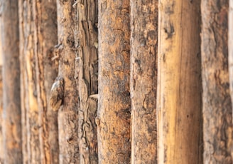 a close up of a wooden fence with birds on it