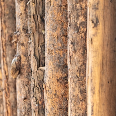 a close up of a wooden fence with birds on it