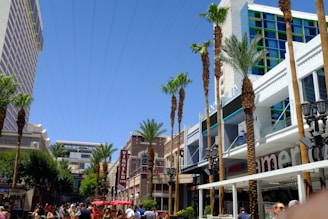 A vibrant street scene in Ubatuba with colorful local shops and palm trees under a bright sky.