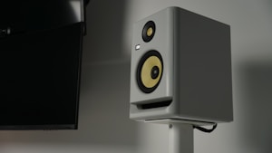 Monitor de Estudio