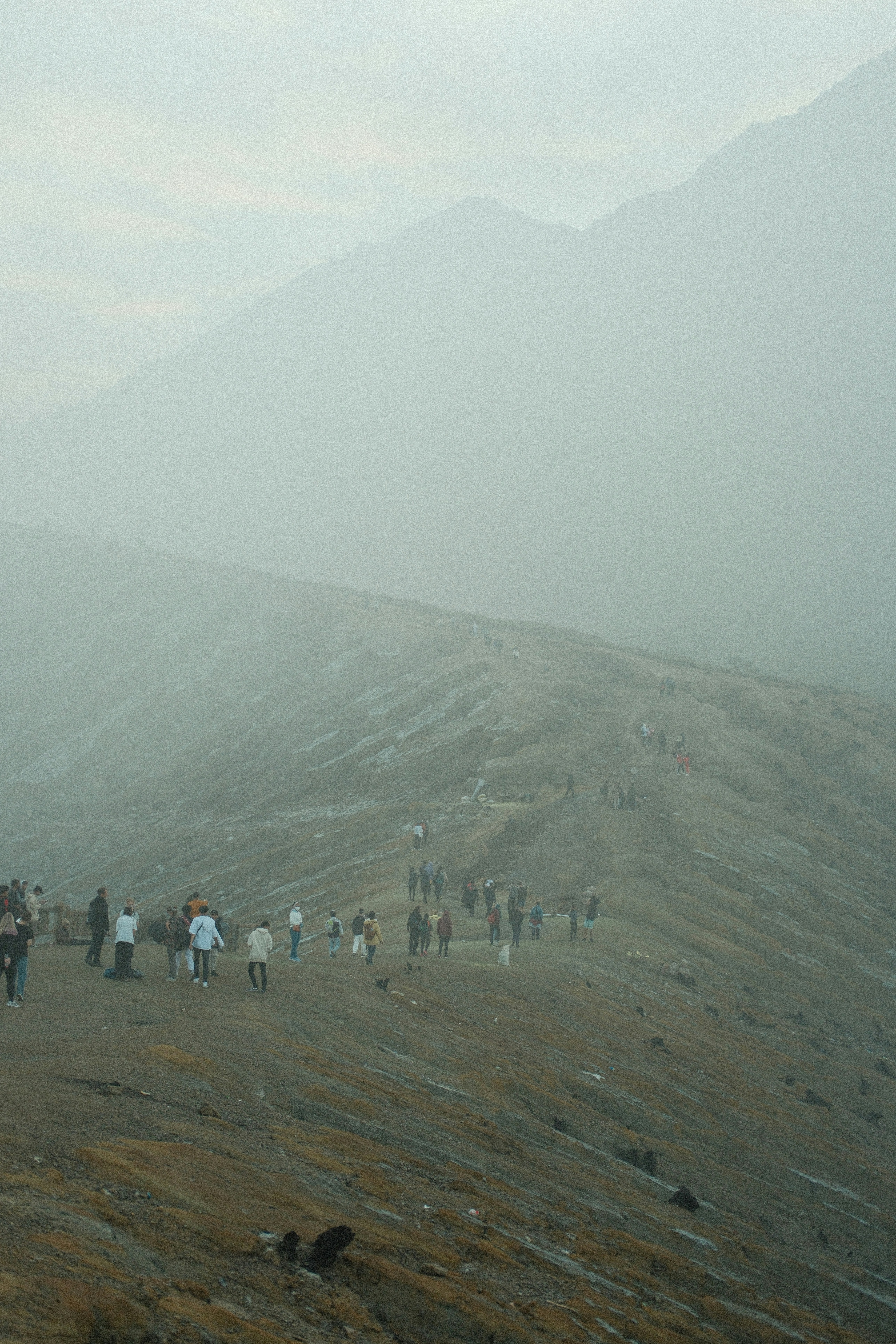 Group of young people hiking up a mountain trail through misty forest, bright morning light