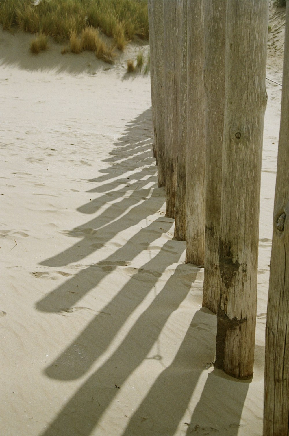 a group of wooden posts on a beach