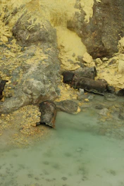 A natural landscape features rocky terrain with yellow sulfur deposits scattered across the surface. Two rusted pipes lie on the ground partially submerged in a pale green pool of water. The combination of earthy tones and yellow suggests a mineral-rich environment, possibly near a volcanic area.