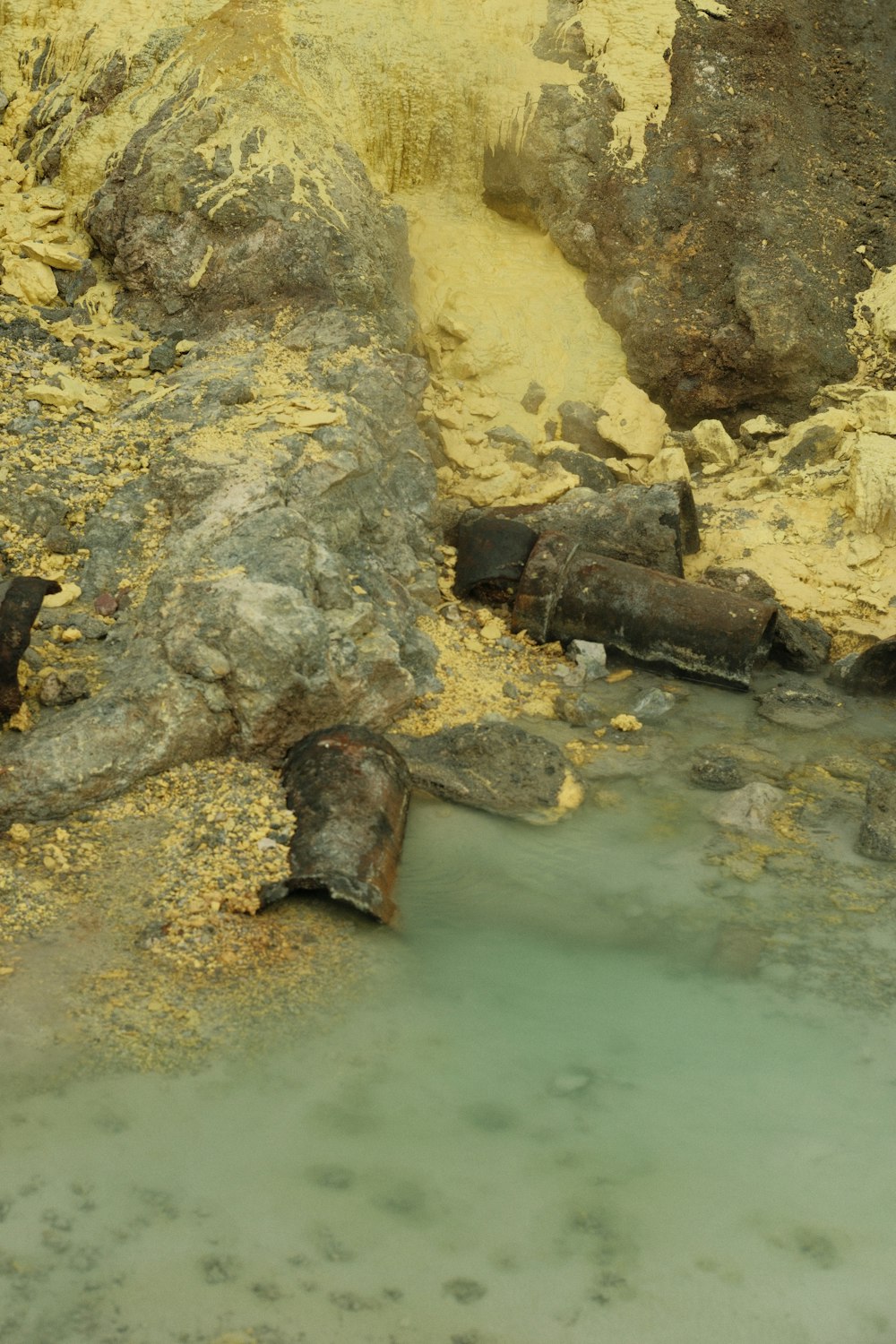 C'è un orso che sta in piedi nell'acqua