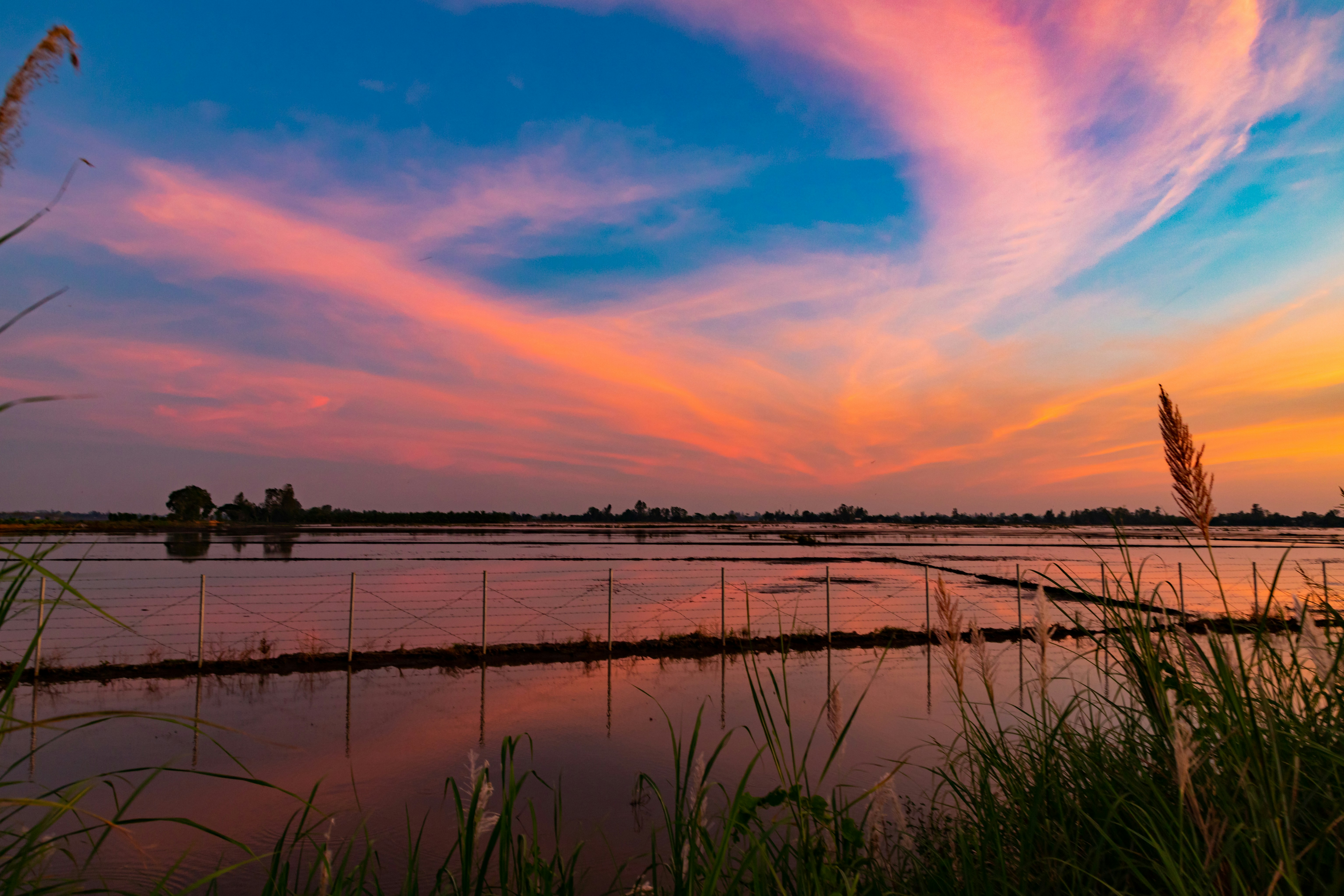 Photo by hiepnguyenduc