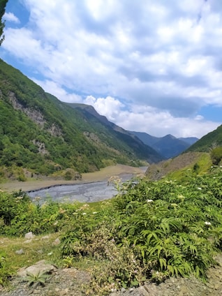 A scenic view of lush green landscapes in Caicedonia, Valle del Cauca.