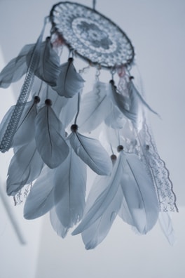 An intricately designed dreamcatcher adorned with white feathers and lace ribbons. The dreamcatcher features a web-like center with beads scattered across the hanging feathers which appear soft and delicate. The background is a soft bluish-white, providing a serene contrast to the dreamcatcher.