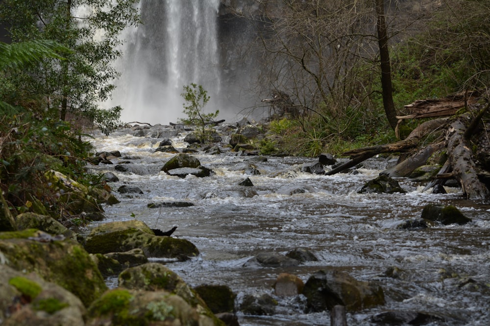 a large waterfall in the middle of a forest