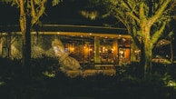 A warmly lit restaurant with large glass windows, surrounded by trees with dense foliage. The exterior features an intricate black and white mural design. Inside, wooden furniture and hanging lights create a cozy and inviting atmosphere.