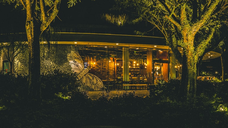 A warmly lit restaurant with large glass windows, surrounded by trees with dense foliage. The exterior features an intricate black and white mural design. Inside, wooden furniture and hanging lights create a cozy and inviting atmosphere.