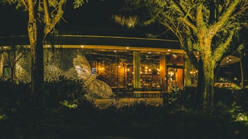 A warmly lit restaurant with large glass windows, surrounded by trees with dense foliage. The exterior features an intricate black and white mural design. Inside, wooden furniture and hanging lights create a cozy and inviting atmosphere.