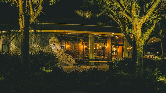 A warmly lit restaurant with large glass windows, surrounded by trees with dense foliage. The exterior features an intricate black and white mural design. Inside, wooden furniture and hanging lights create a cozy and inviting atmosphere.