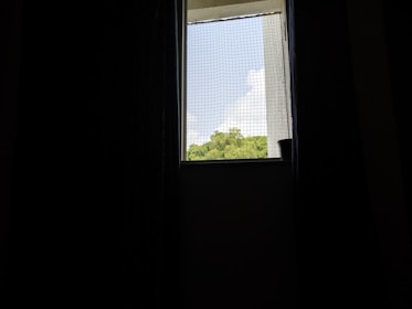 A view through a window covered with a mesh net, revealing a distant view of green foliage and a clear blue sky with clouds. The interior is dark, with curtains partially visible and a small pot on the windowsill.