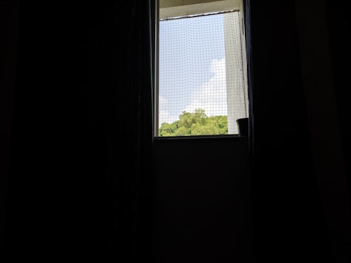 A view through a window covered with a mesh net, revealing a distant view of green foliage and a clear blue sky with clouds. The interior is dark, with curtains partially visible and a small pot on the windowsill.