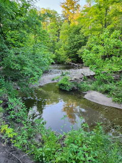 A peaceful creek flowing gently through Lost Resort Ranch, surrounded by lush greenery.