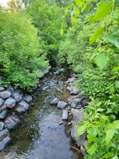A serene stream flowing through a lush green forest symbolizing fresh ideas and steady progress.