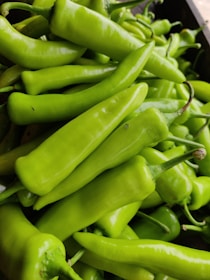 Close-up of fresh green chilies glistening with morning dew.