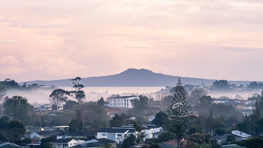 a view of a city with a mountain in the background