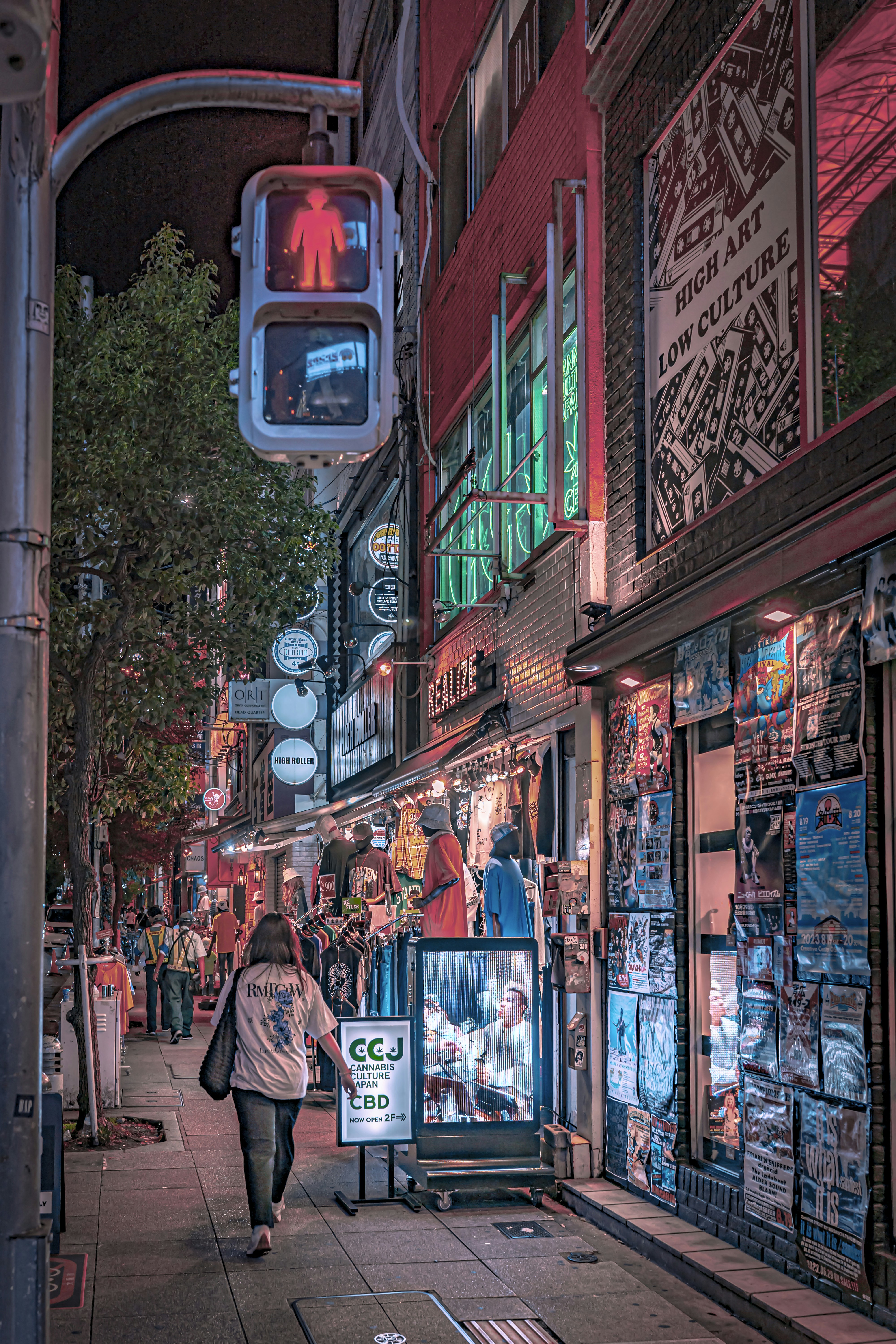 São Paulo Shopping Chaos