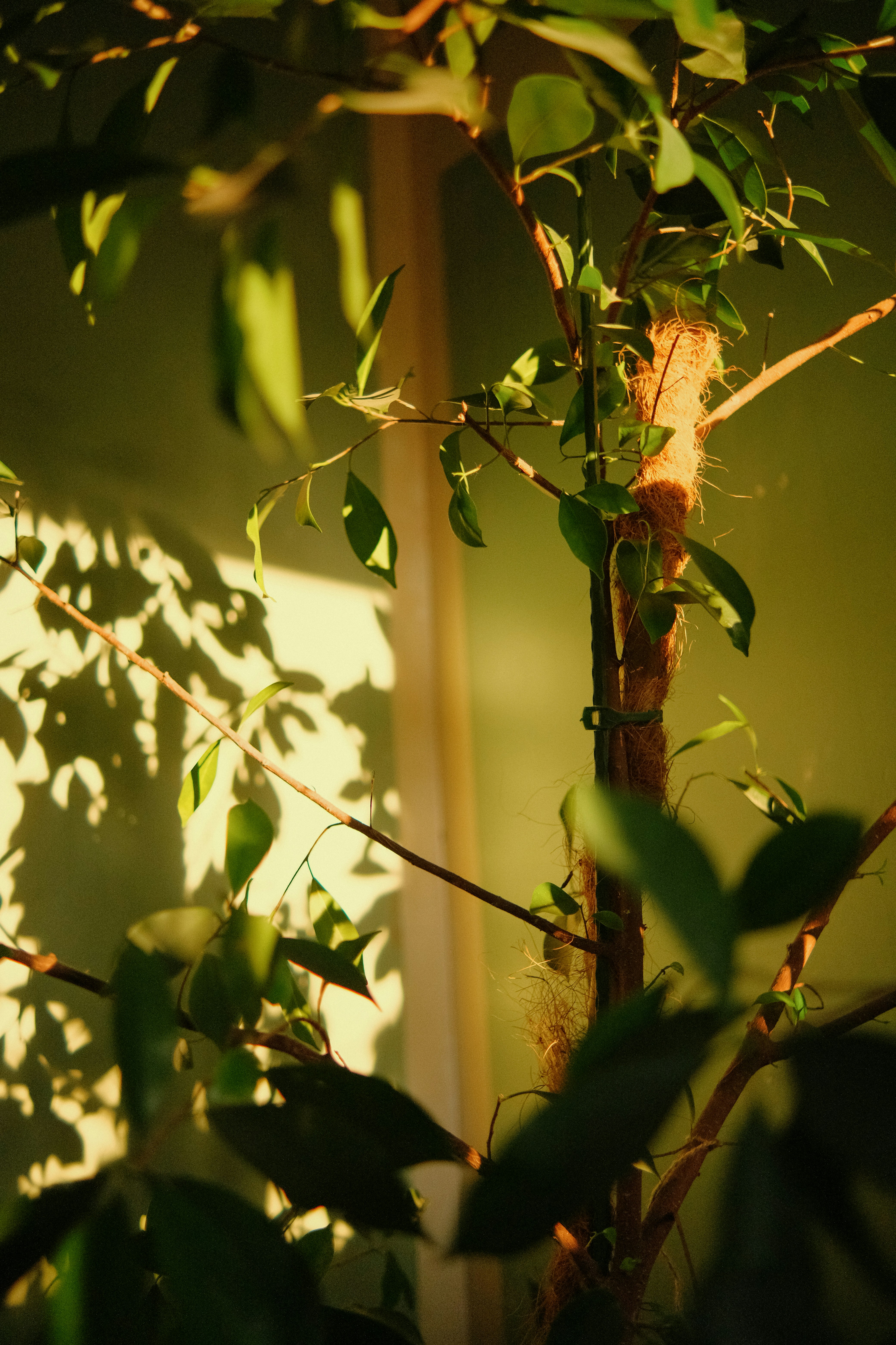 Photo by tobolenkoph